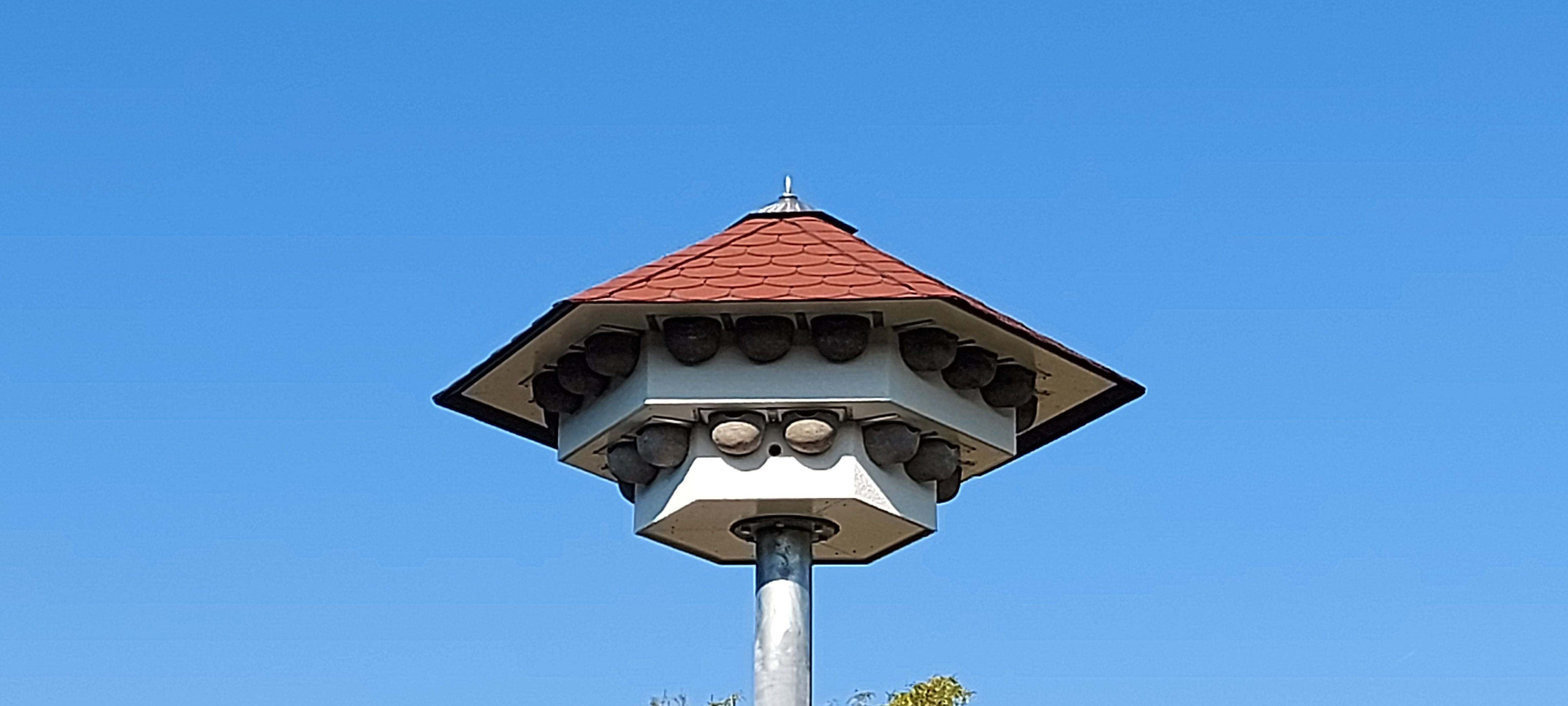 Schwalbenhaus