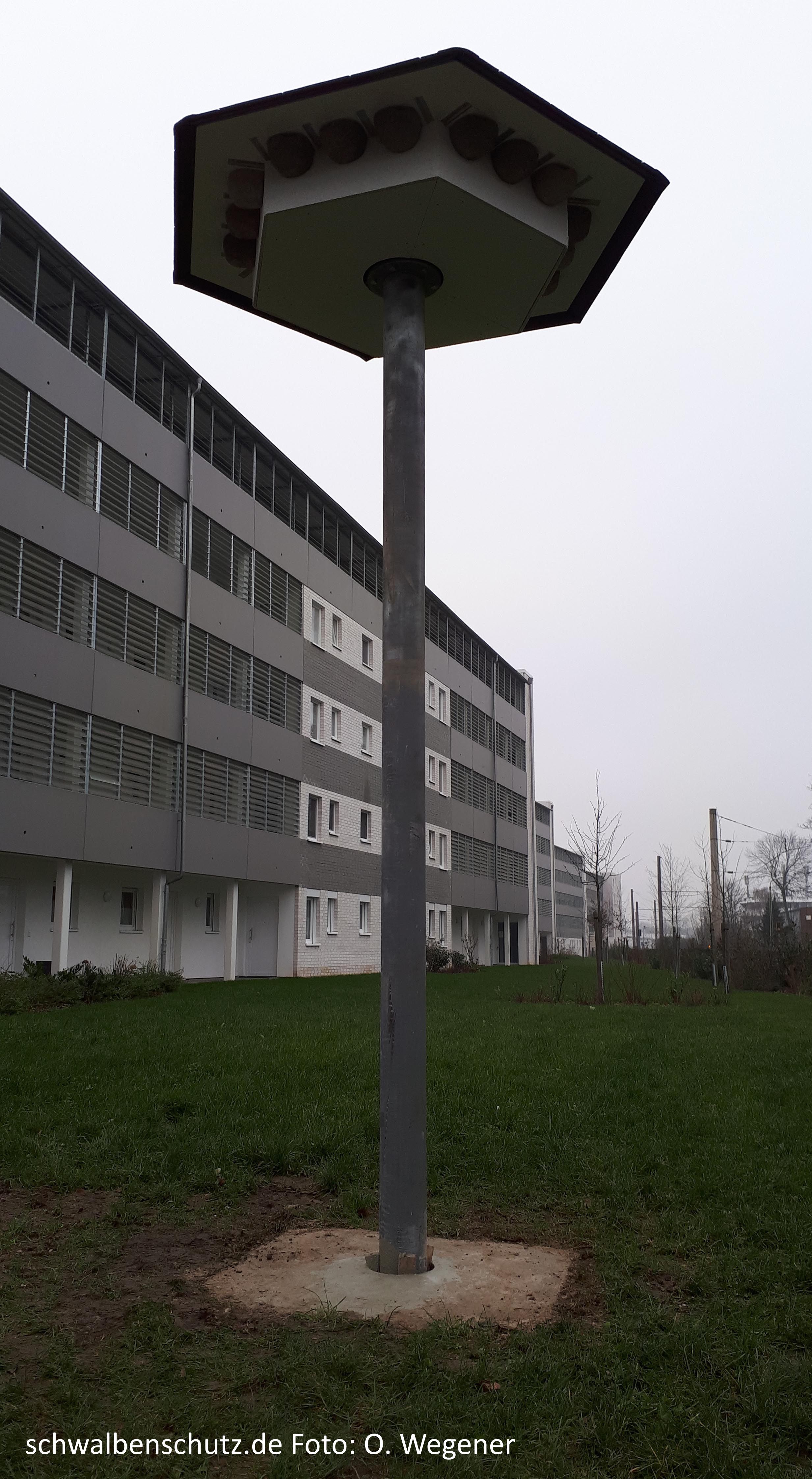 Schwalbenhaus