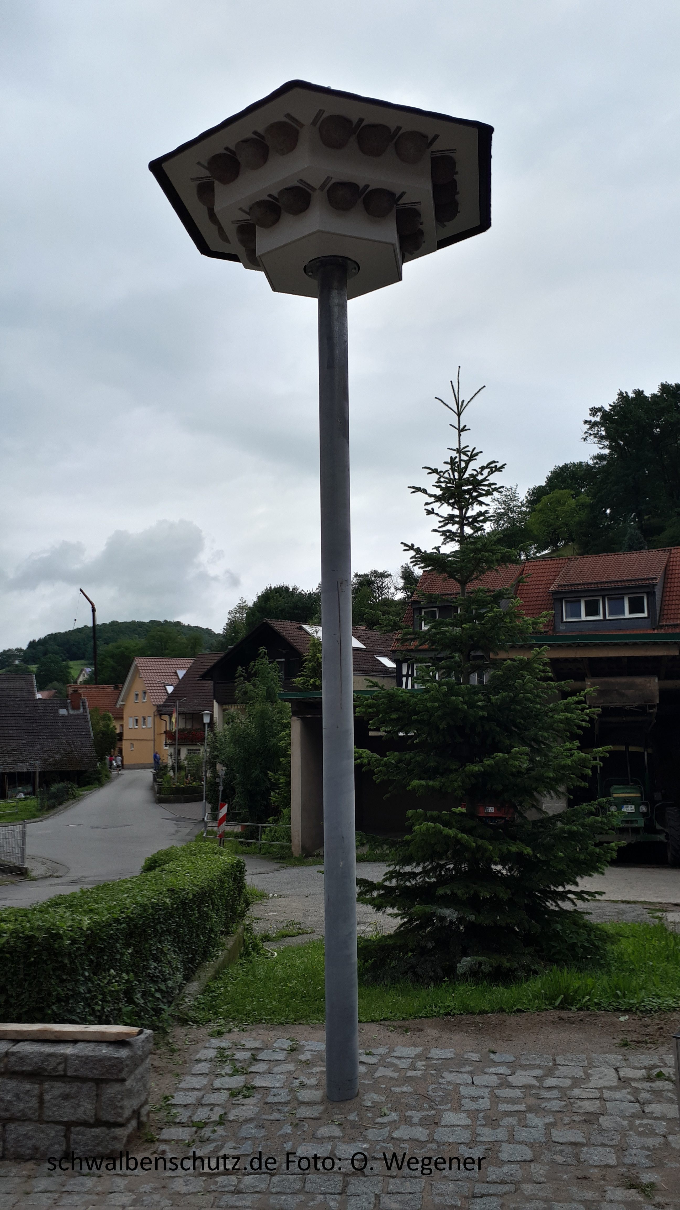 Schwalbenhaus