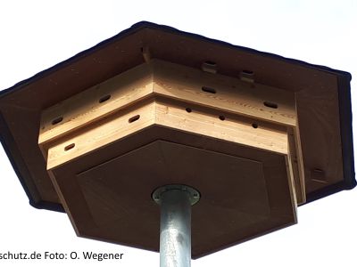 Mauerseglerhaus Modell "Apus zweistöckig"