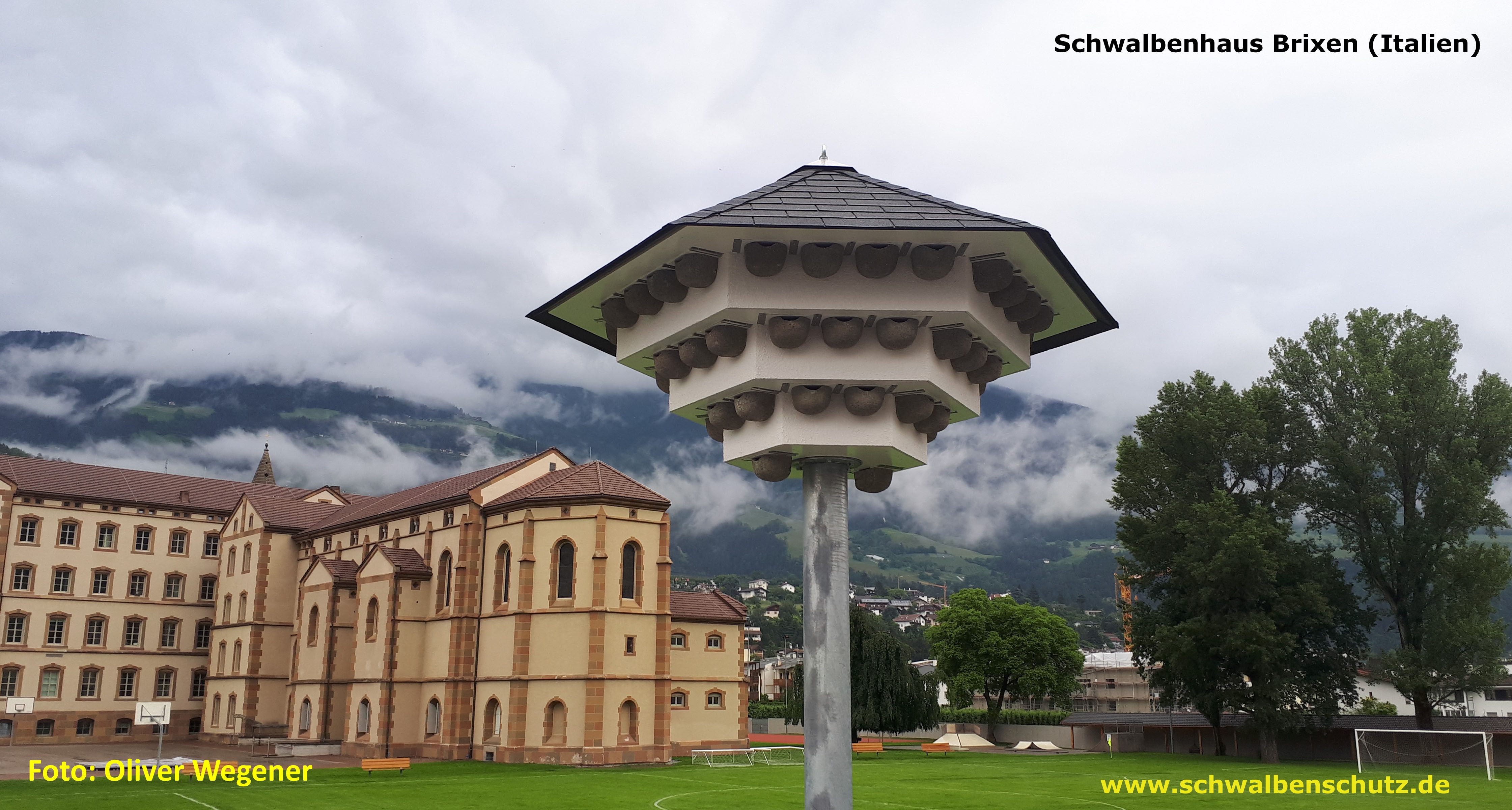 Schwalbenhaus